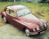 [thumbnail of 1952 Bristol 401-maroon-fVrT=mx=.jpg]